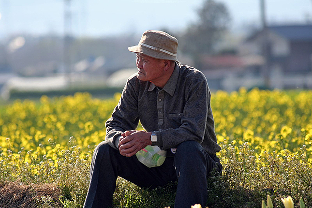Demographic change and ageing society